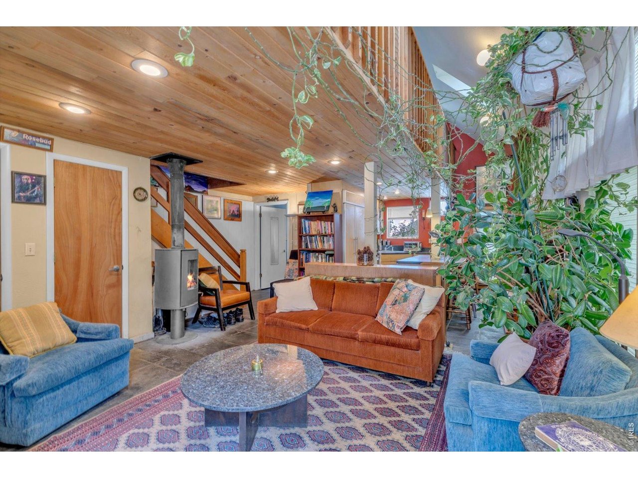496 Escape Route Boulder, CO 80302 - Photo 2 of 21 a living room with furniture and a potted plant