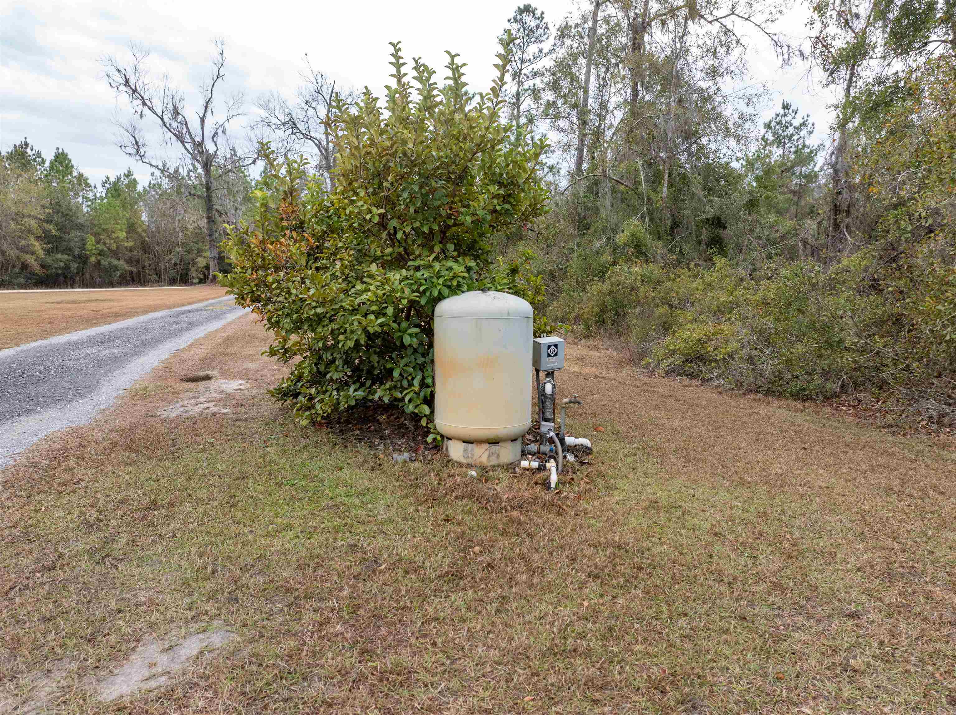 3344 Northwest Chicken Road Madison, FL 32340 - Photo 3 of 48