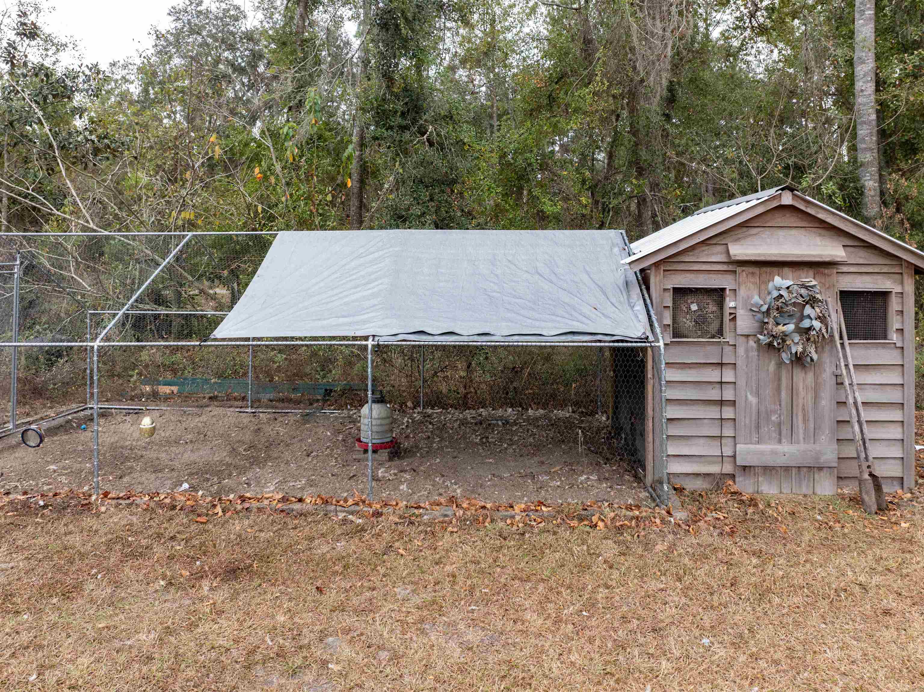 3344 Northwest Chicken Road Madison, FL 32340 - Photo 10 of 48