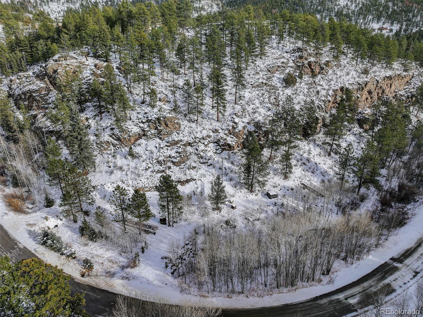 a view of a dry yard with large trees