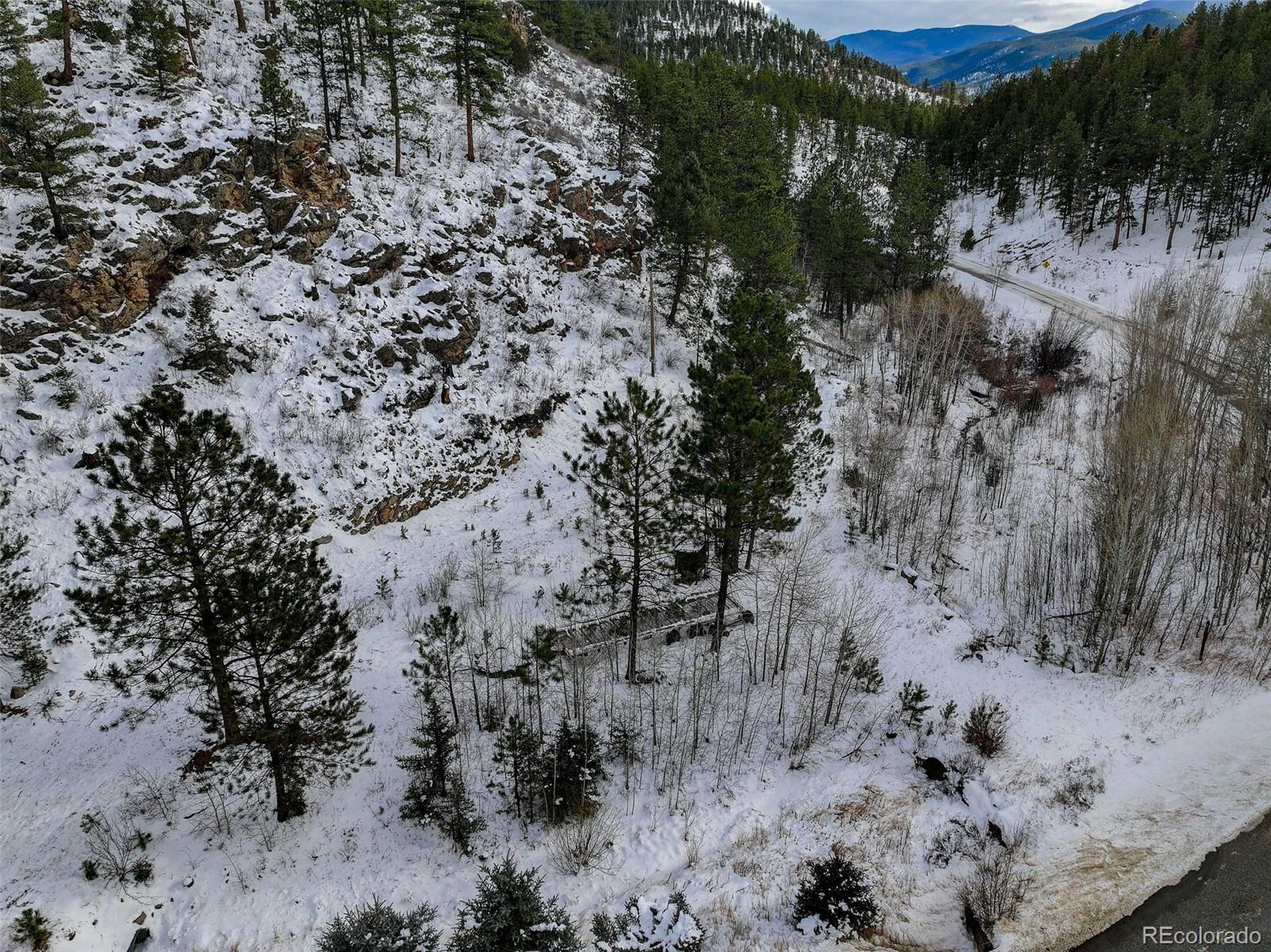 400 Crow Valley Road Bailey, CO 80421 - Photo 11 of 19 a view of a forest with trees all around