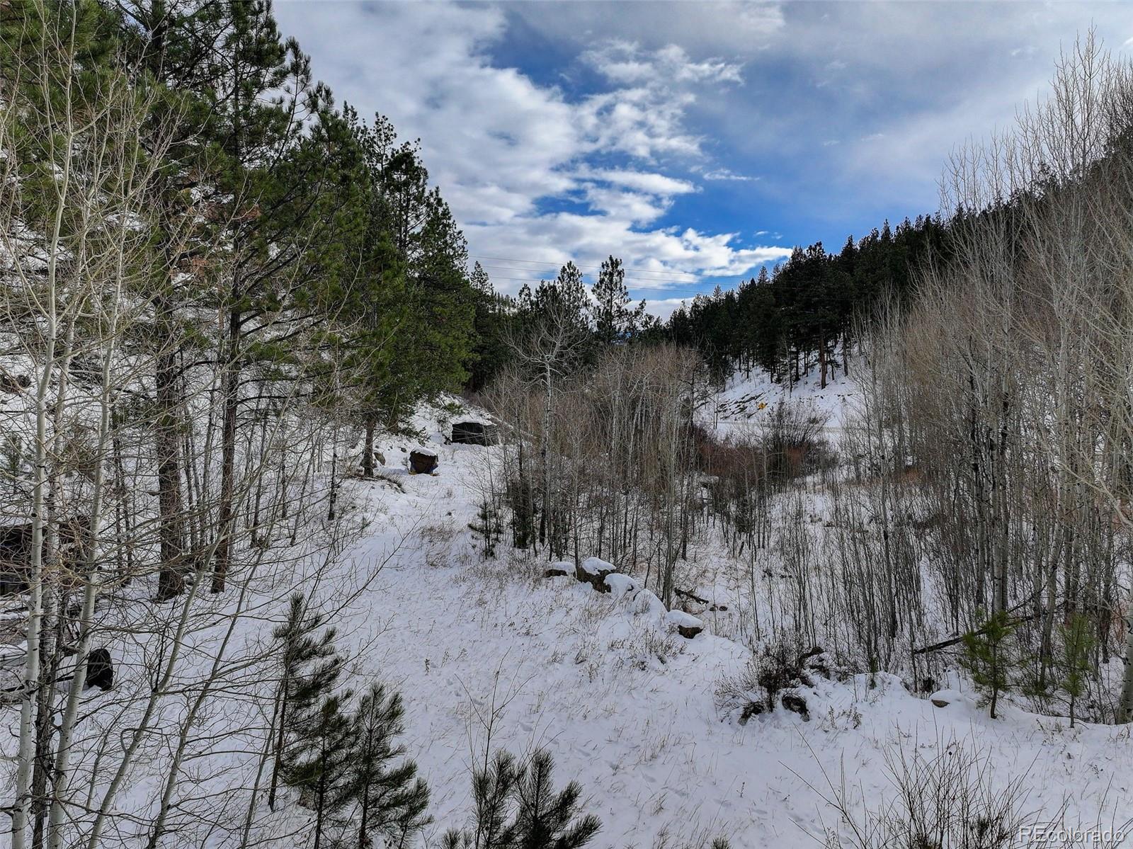 400 Crow Valley Road Bailey, CO 80421 - Photo 15 of 19 a view of a dry yard with trees