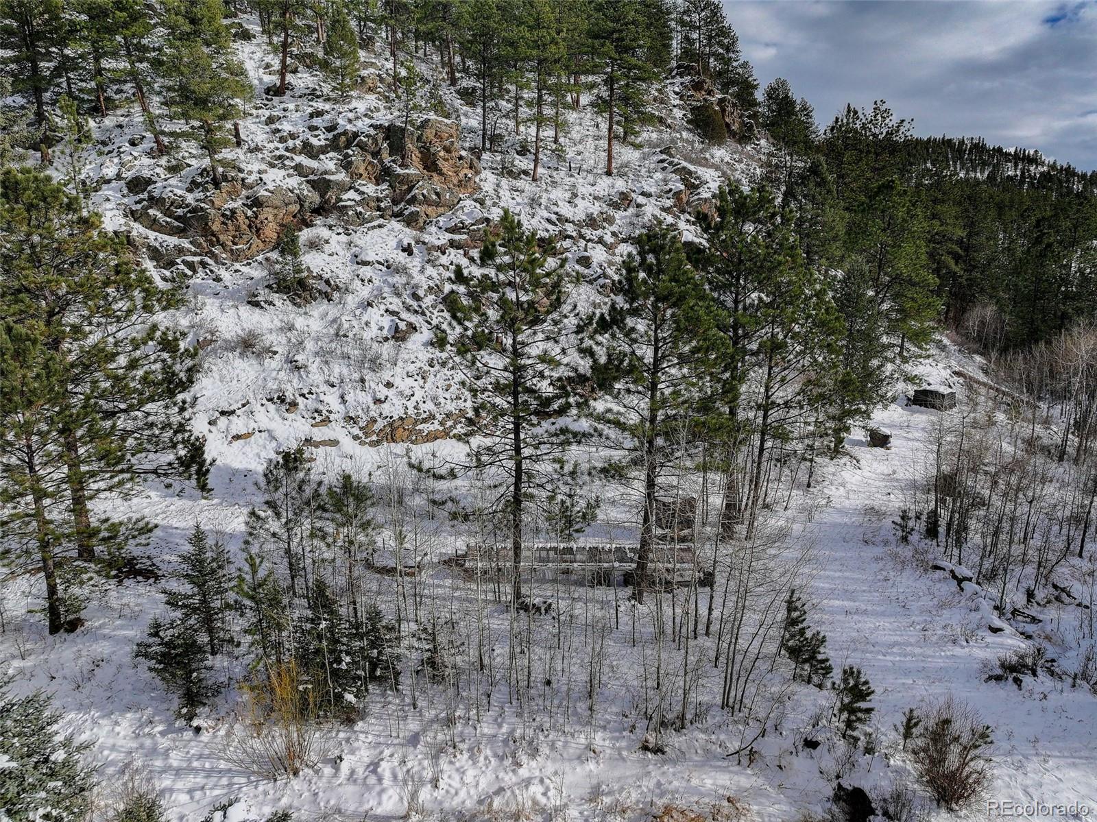 400 Crow Valley Road Bailey, CO 80421 - Photo 17 of 19 a view of a yard with lots of trees