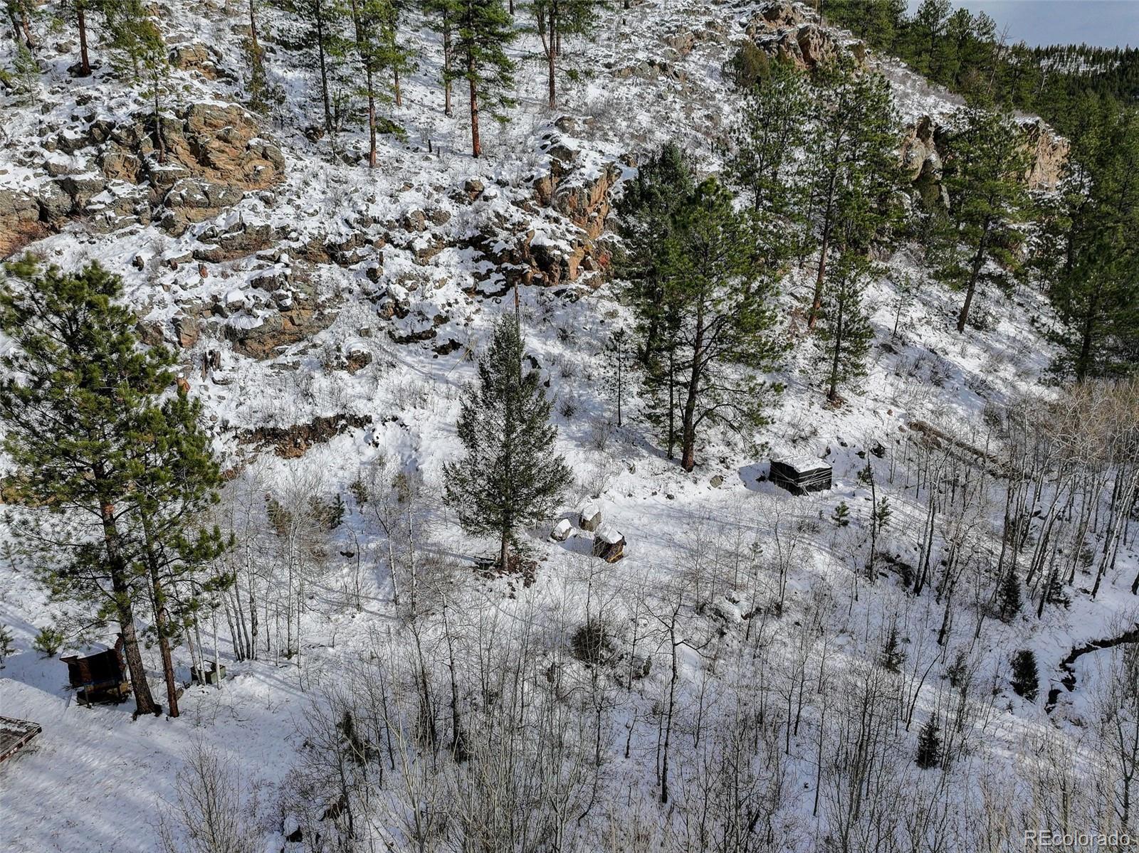 400 Crow Valley Road Bailey, CO 80421 - Photo 18 of 19 a view of a forest with lots of trees