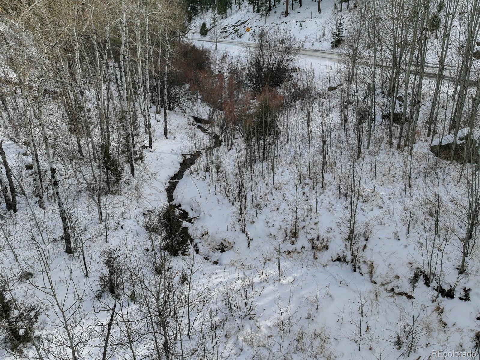 400 Crow Valley Road Bailey, CO 80421 - Photo 3 of 19 a view of a dry yard