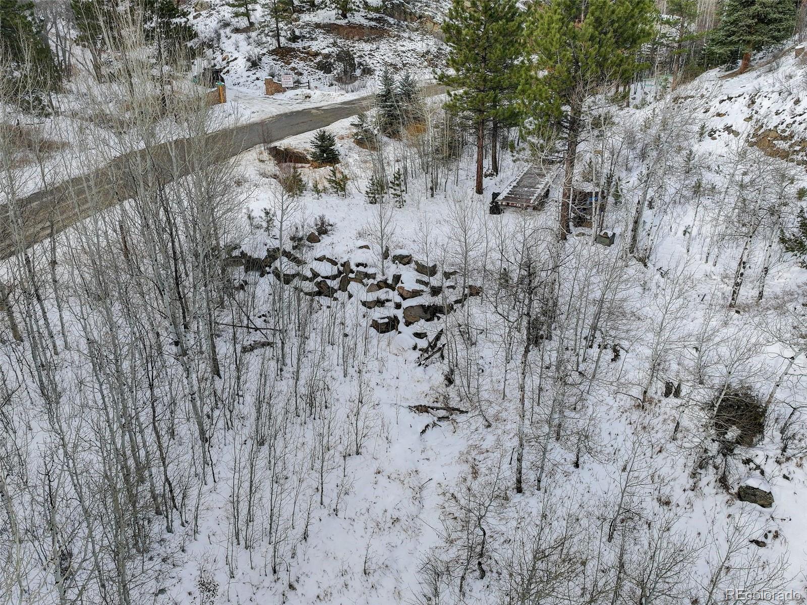 400 Crow Valley Road Bailey, CO 80421 - Photo 4 of 19 a view of a backyard of the house