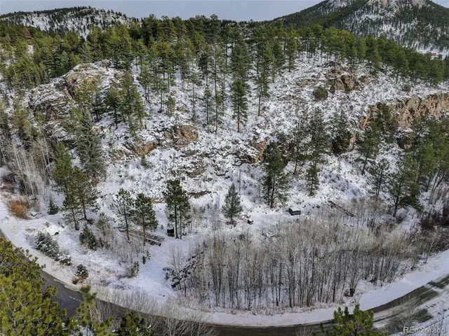 a view of a yard with large trees