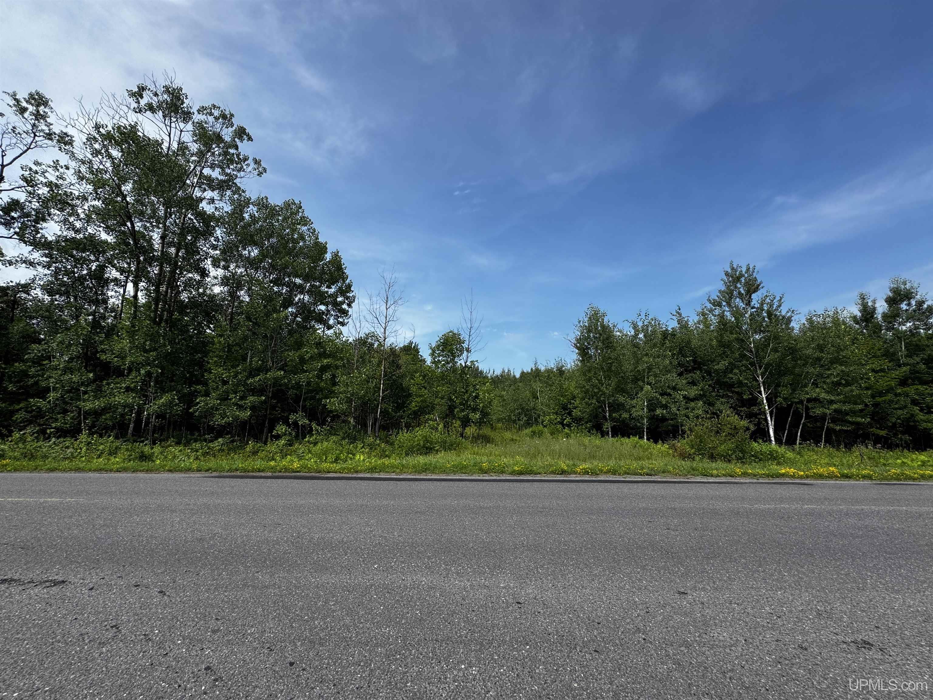 Tbd Beartown Road Baraga, MI 49908 - Photo 6 of 7