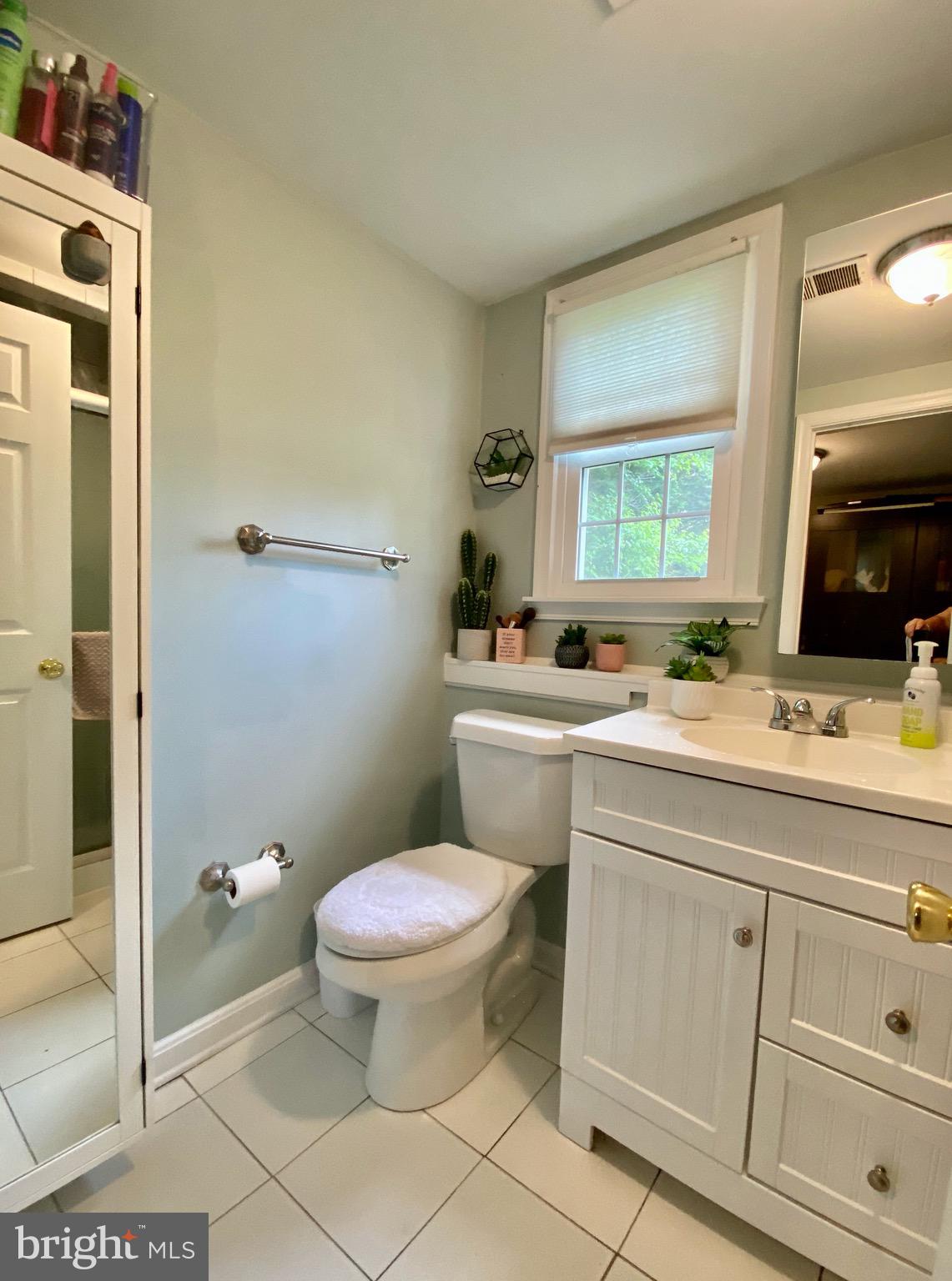511 Chesapeake Avenue Stevensville, MD 21666 - Photo 52 of 58 Lower level bath