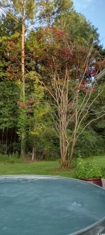 $375,000 | 1875 French Santee Road, Jamestown, SC 29453