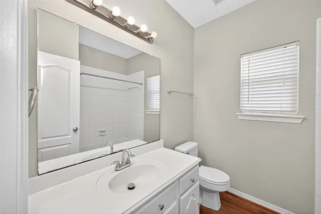 a bathroom with a sink toilet and vanity