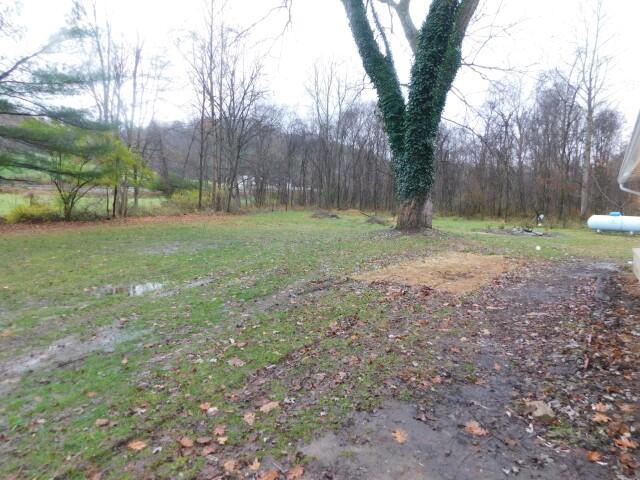 33239 Mann Road Logan, OH 43138 - Photo 19 of 20 035