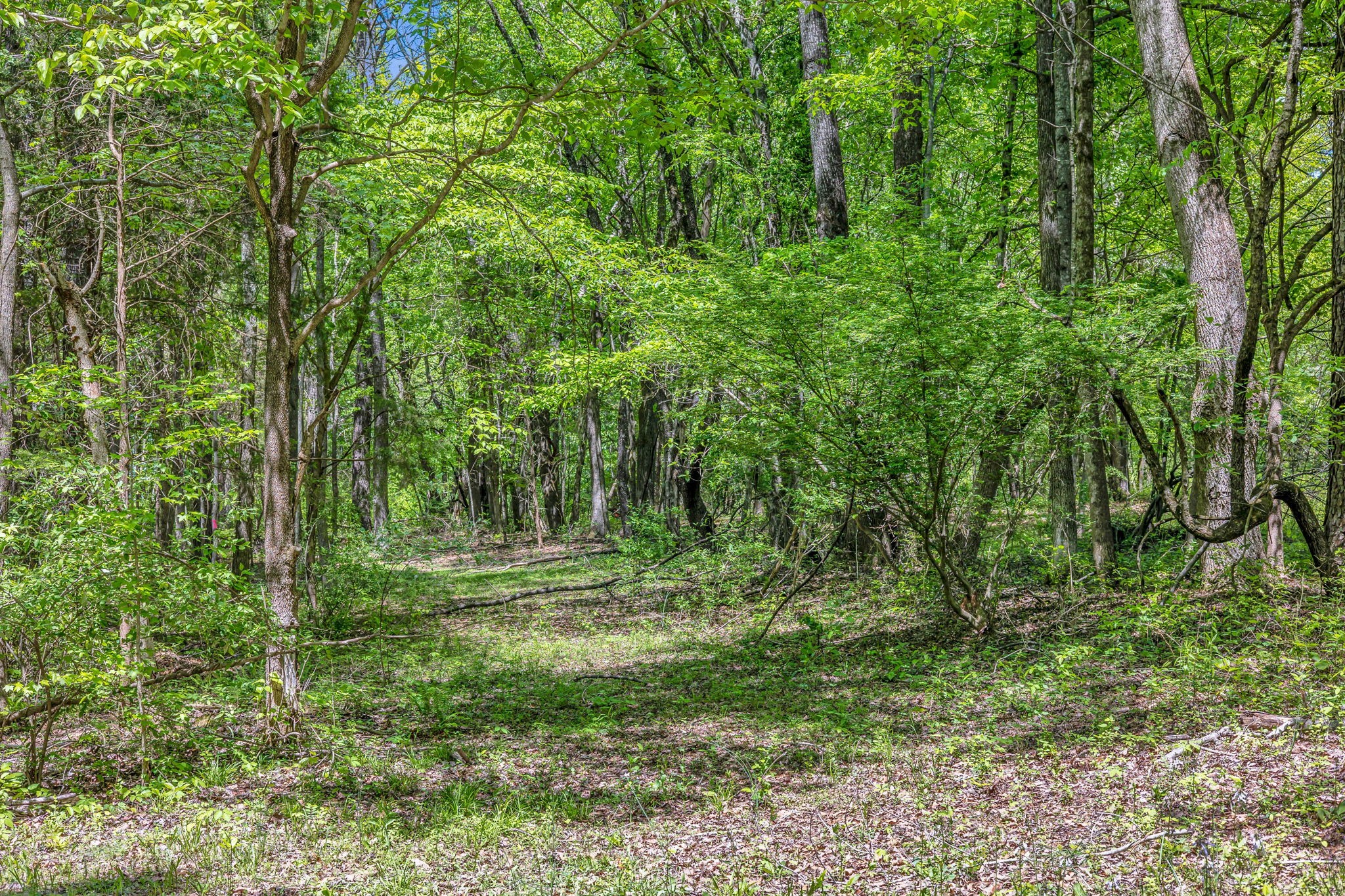 412 Kaiser Road Dickson, TN 37055 - Photo 48 of 53 a view of outdoor space and green space
