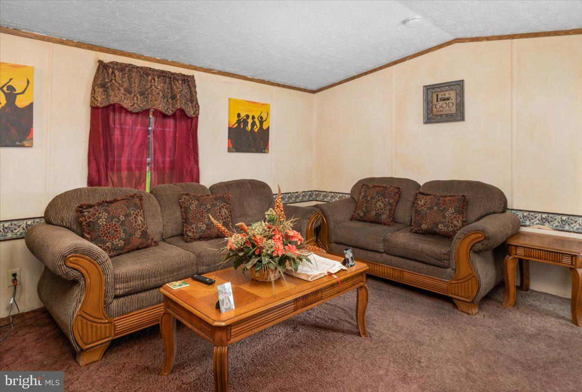 8113 Circle Road Whaleyville, MD 21872 - Photo 3 of 21 Gallery Image 3