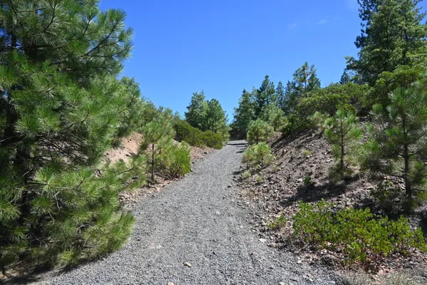 a view of a large yard with lots of green space