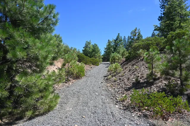 a view of a large yard with lots of green space