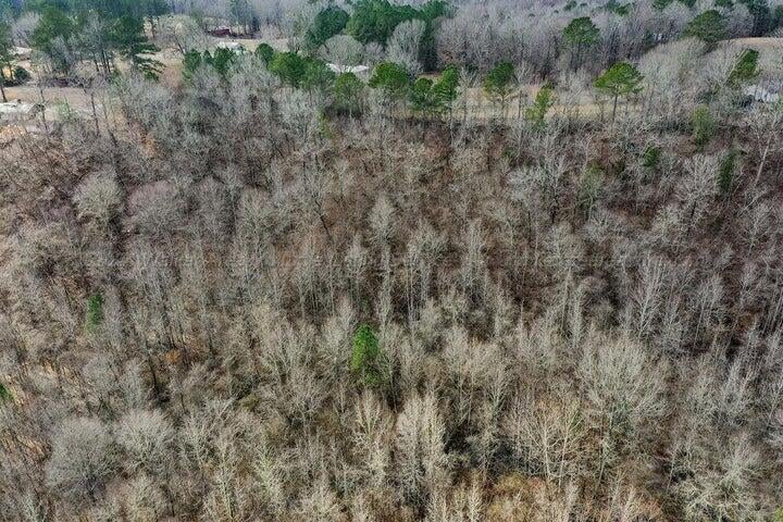 0 Blackwood Road Parrish, AL 35580 - Photo 5 of 6 bwrd3