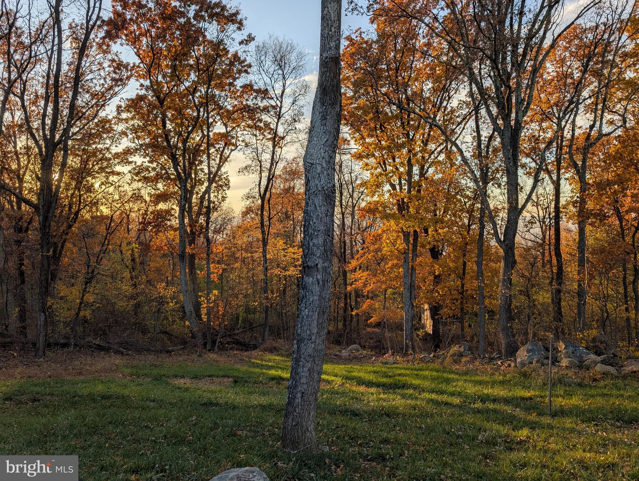 1099 High Top Road Linden, VA 22642 - Photo 49 of 83 A fall shot of yard