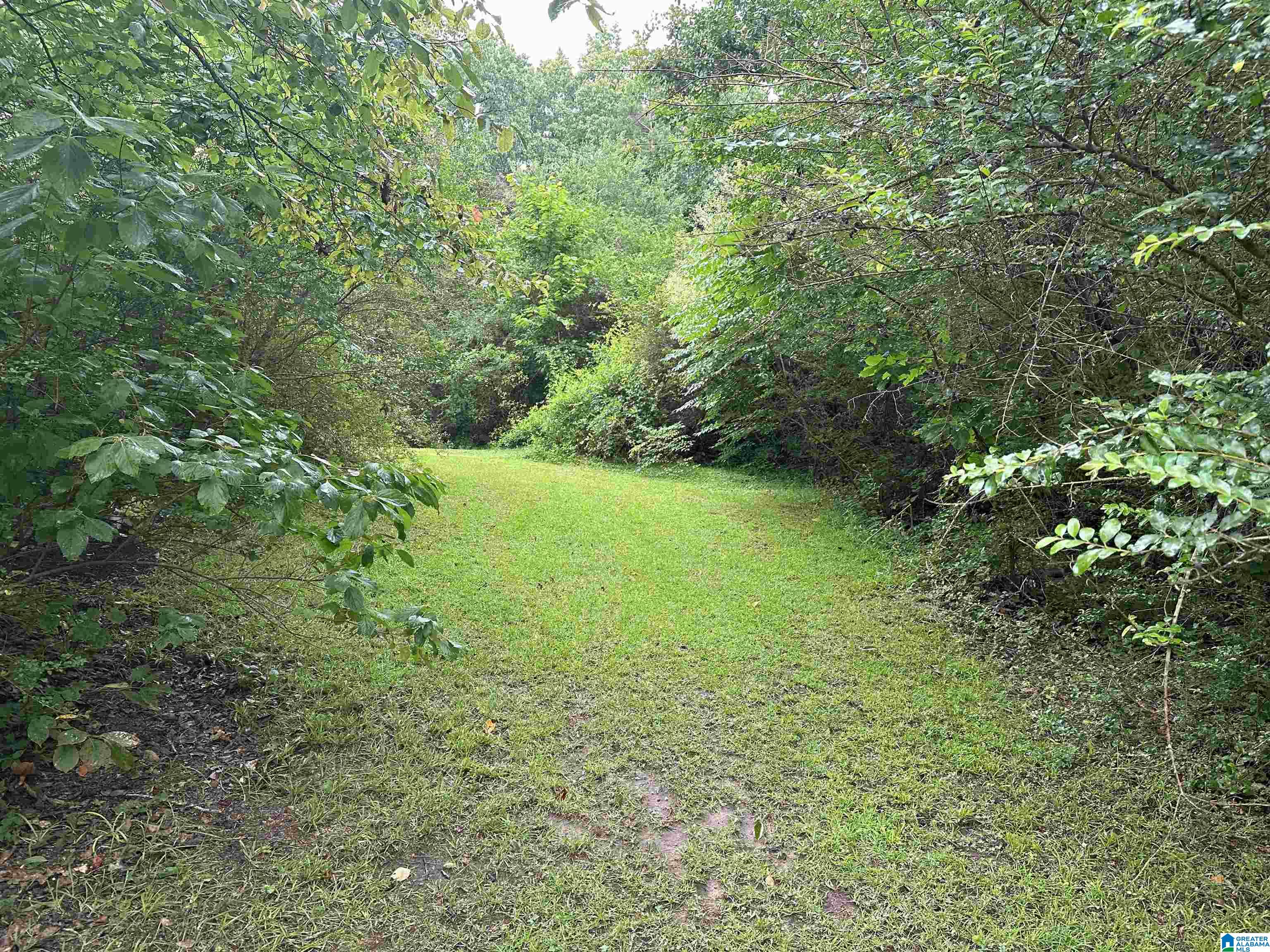 215 Royal Loop Winfield, AL 35594 - Photo 15 of 21