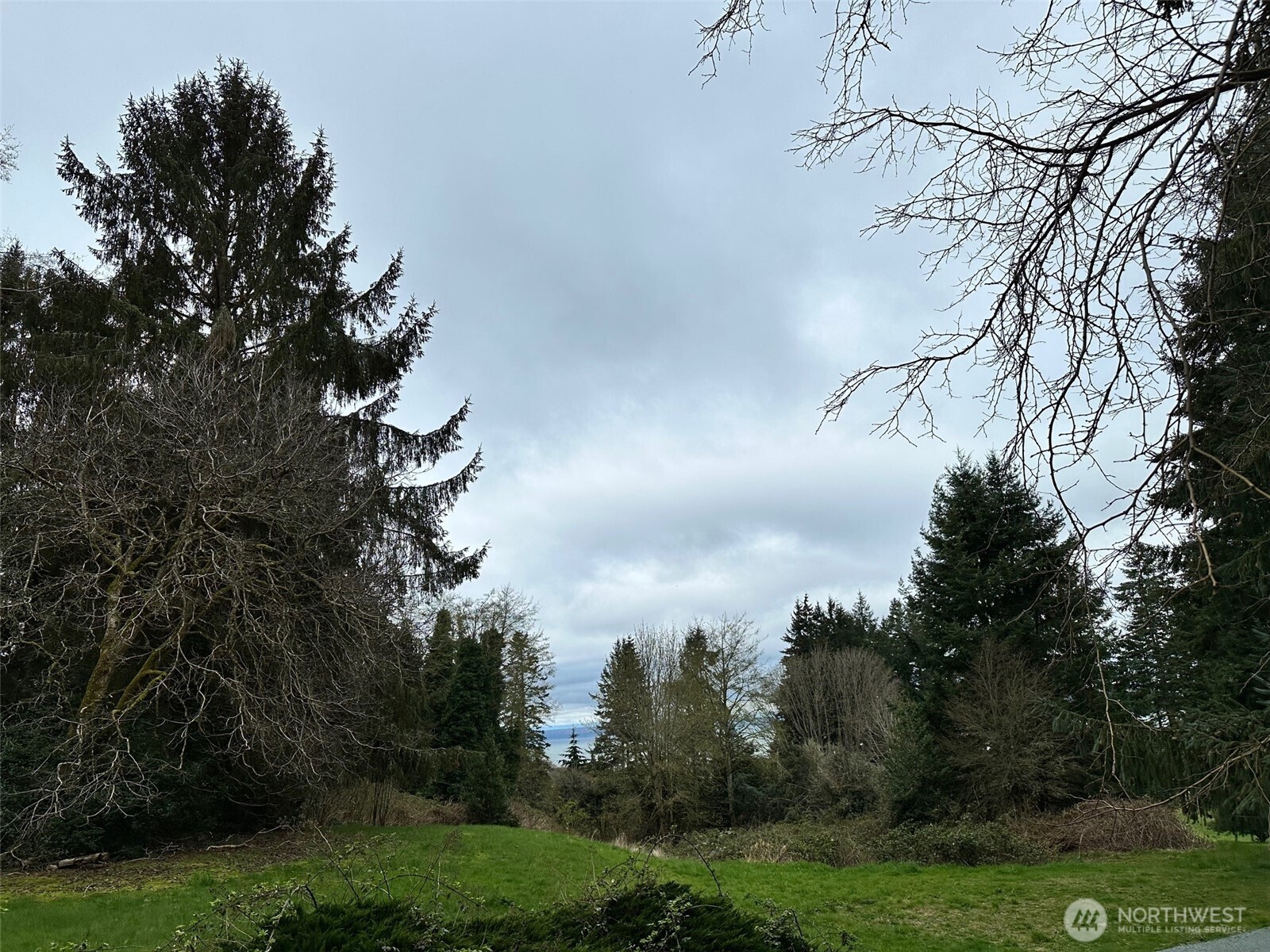 6353 Bayview Road Clinton, WA 98236 - Photo 16 of 21 Gallery Image 16
