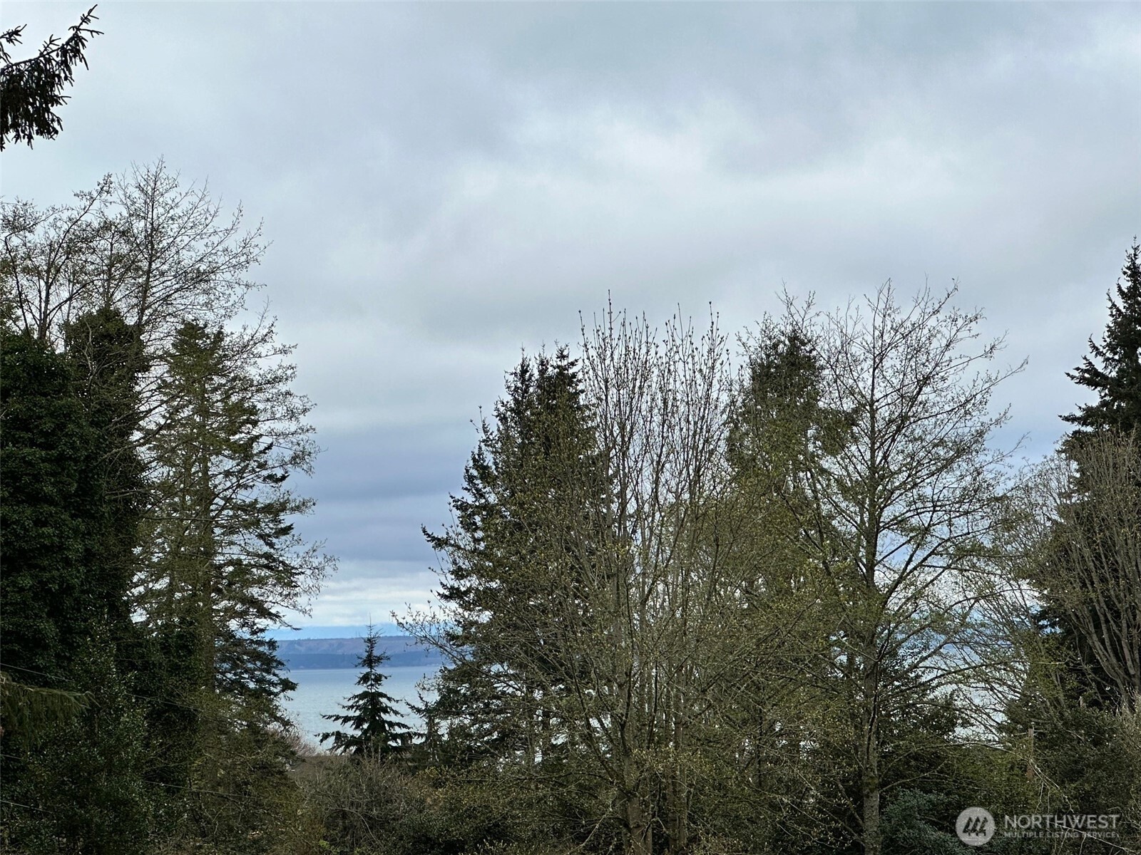 6353 Bayview Road Clinton, WA 98236 - Photo 3 of 21 Gallery Image 3