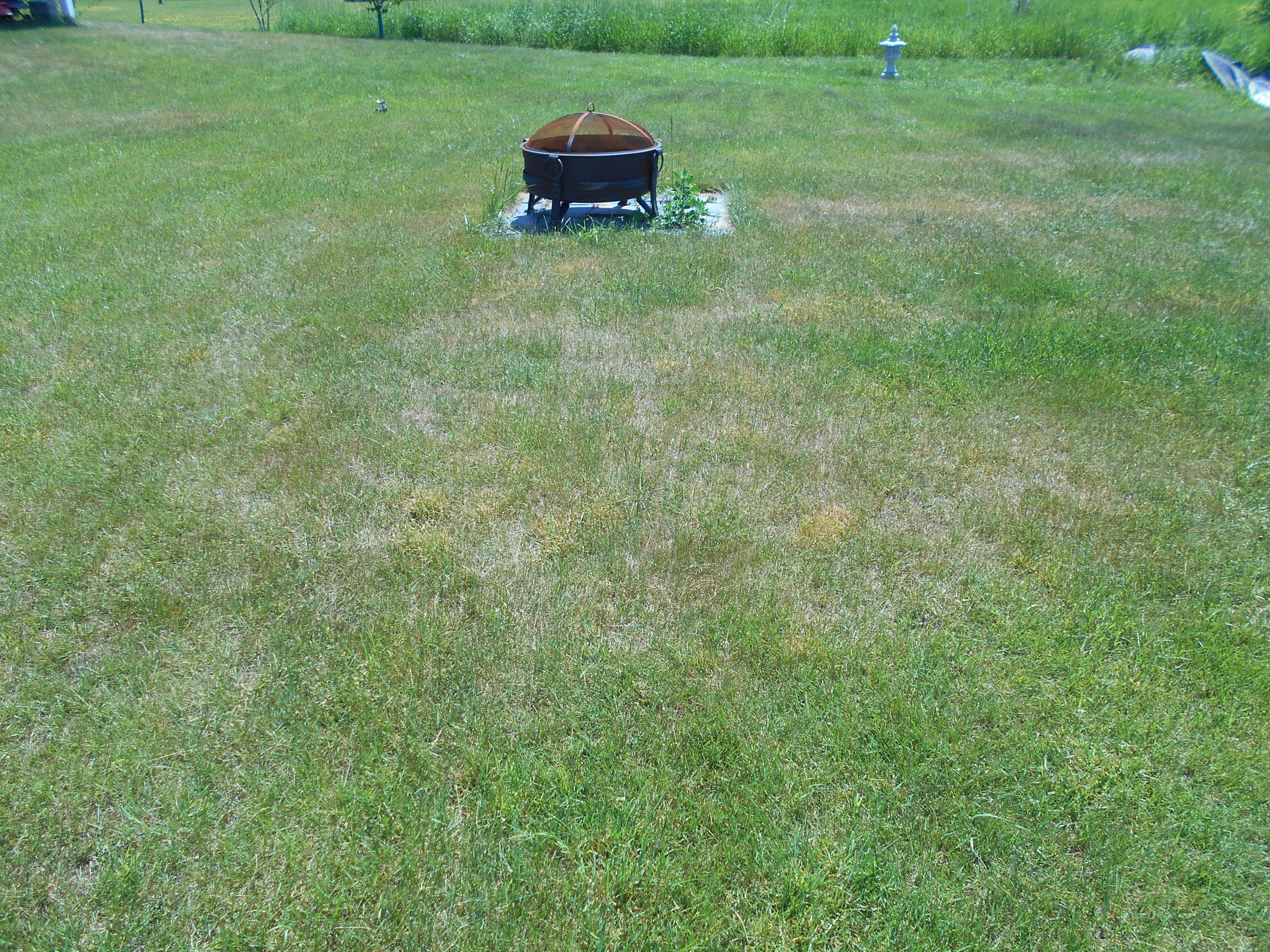 671 Newburgh Road Hermon, ME 04401 - Photo 15 of 66 DSCN5533