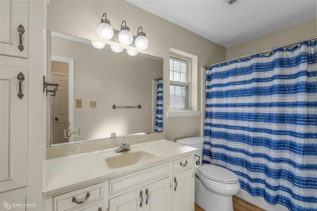 a bathroom with a sink a toilet a large mirror and shower curtain