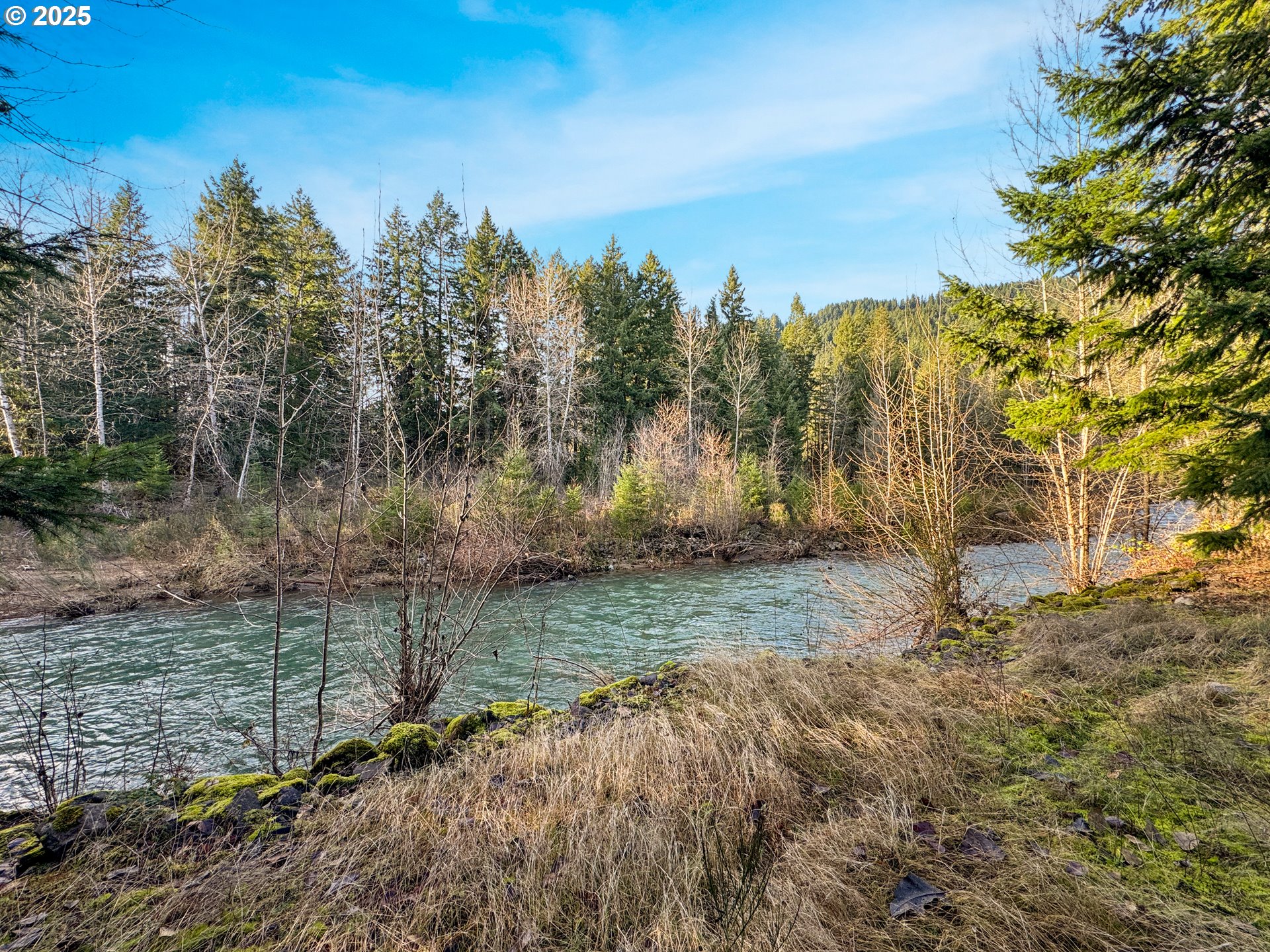 115 1st Avenue Randle, WA 98377 - Photo 3 of 47