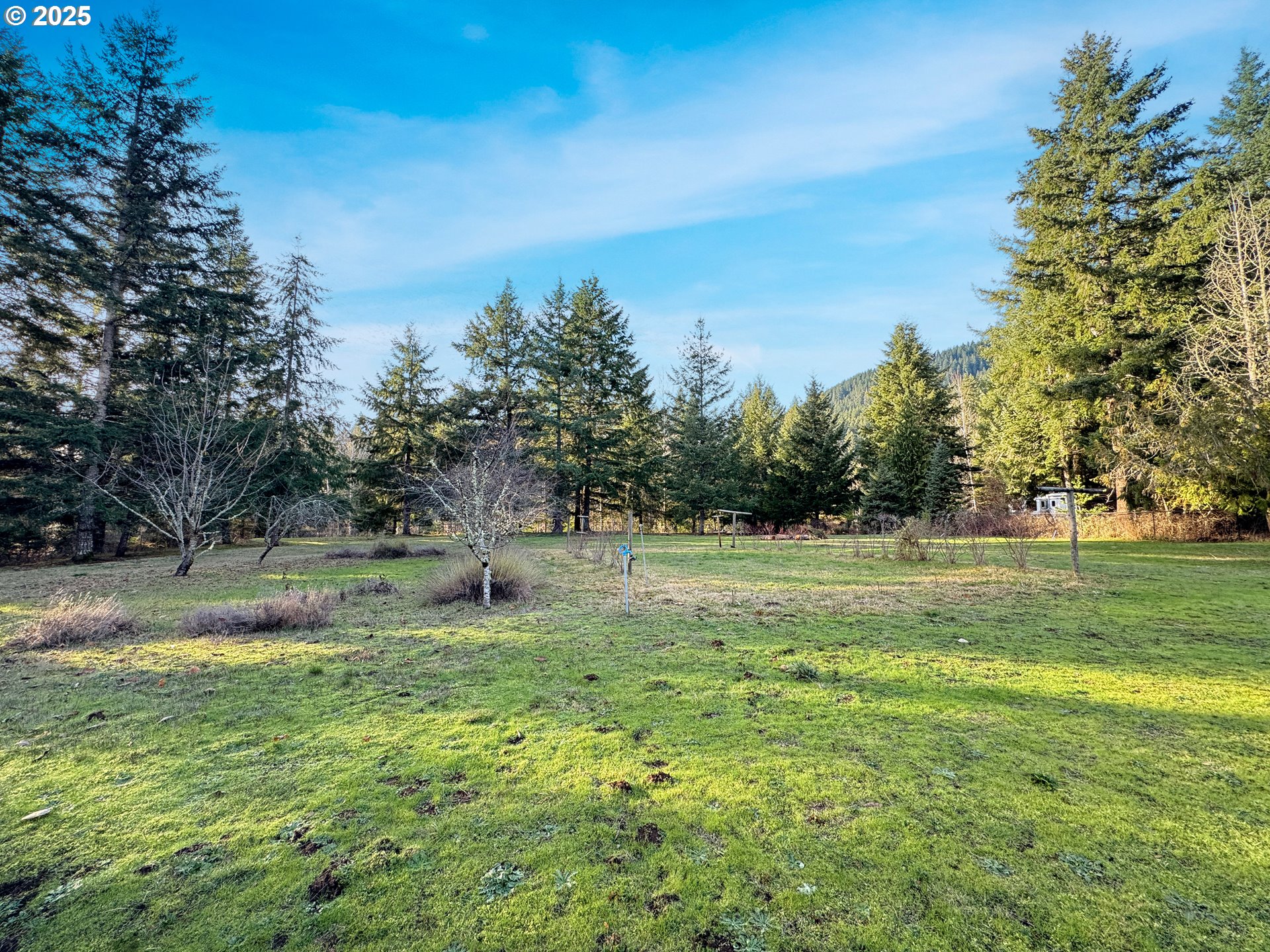 115 1st Avenue Randle, WA 98377 - Photo 38 of 47