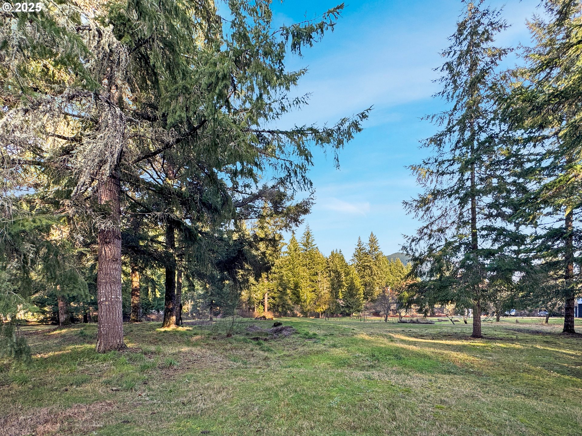 115 1st Avenue Randle, WA 98377 - Photo 47 of 47