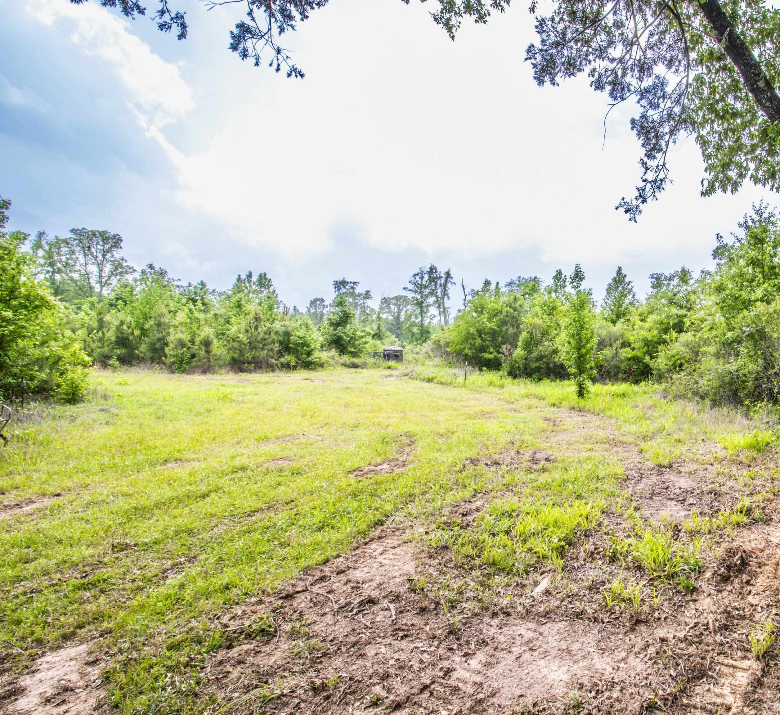 962 Cowpen Road Karnack, TX 75661 - Photo 17 of 21 Gallery Image 17