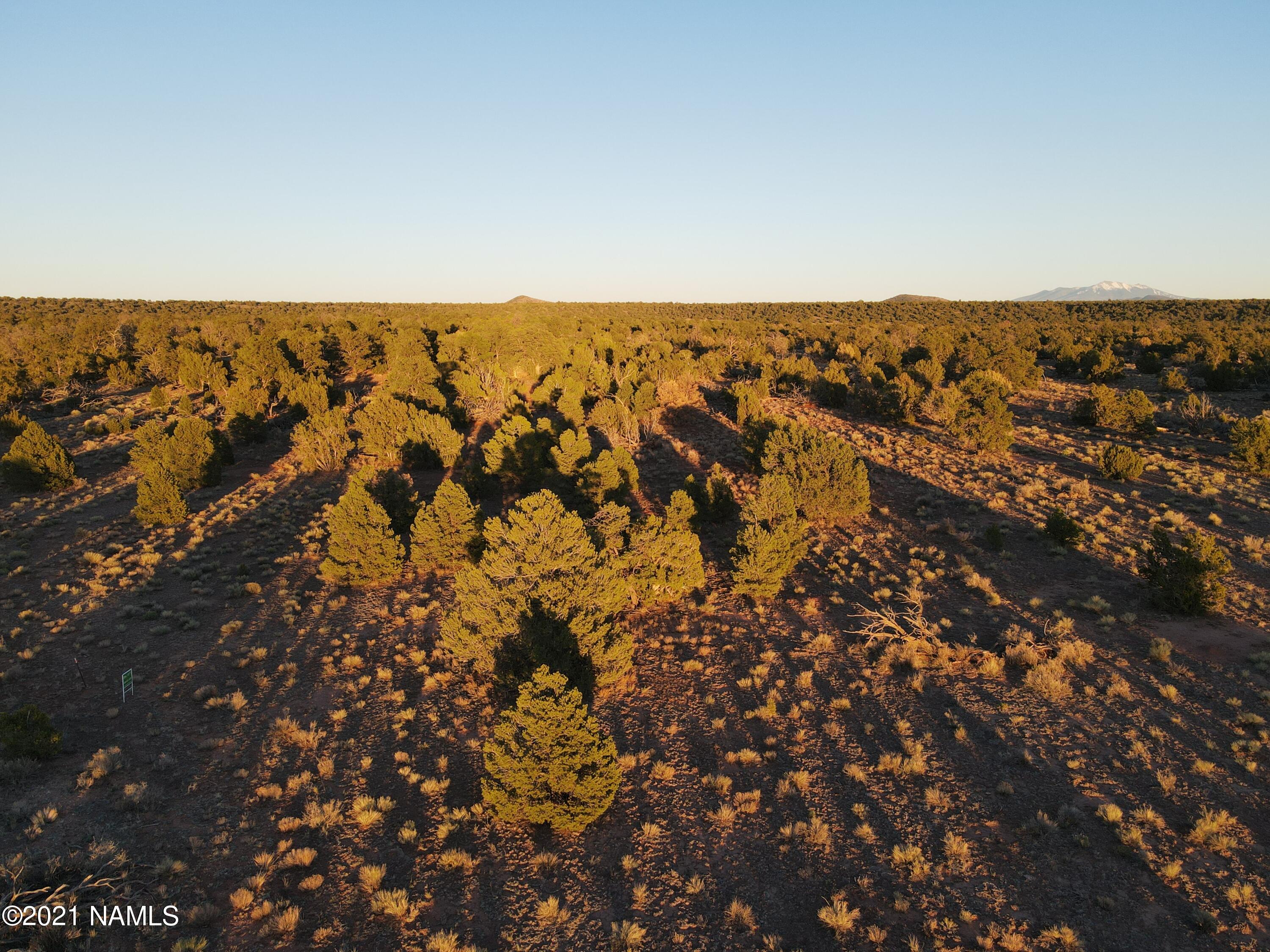 Parcel D Red Butte Road Williams, AZ 86046 - Photo 9 of 17 DJI_0861