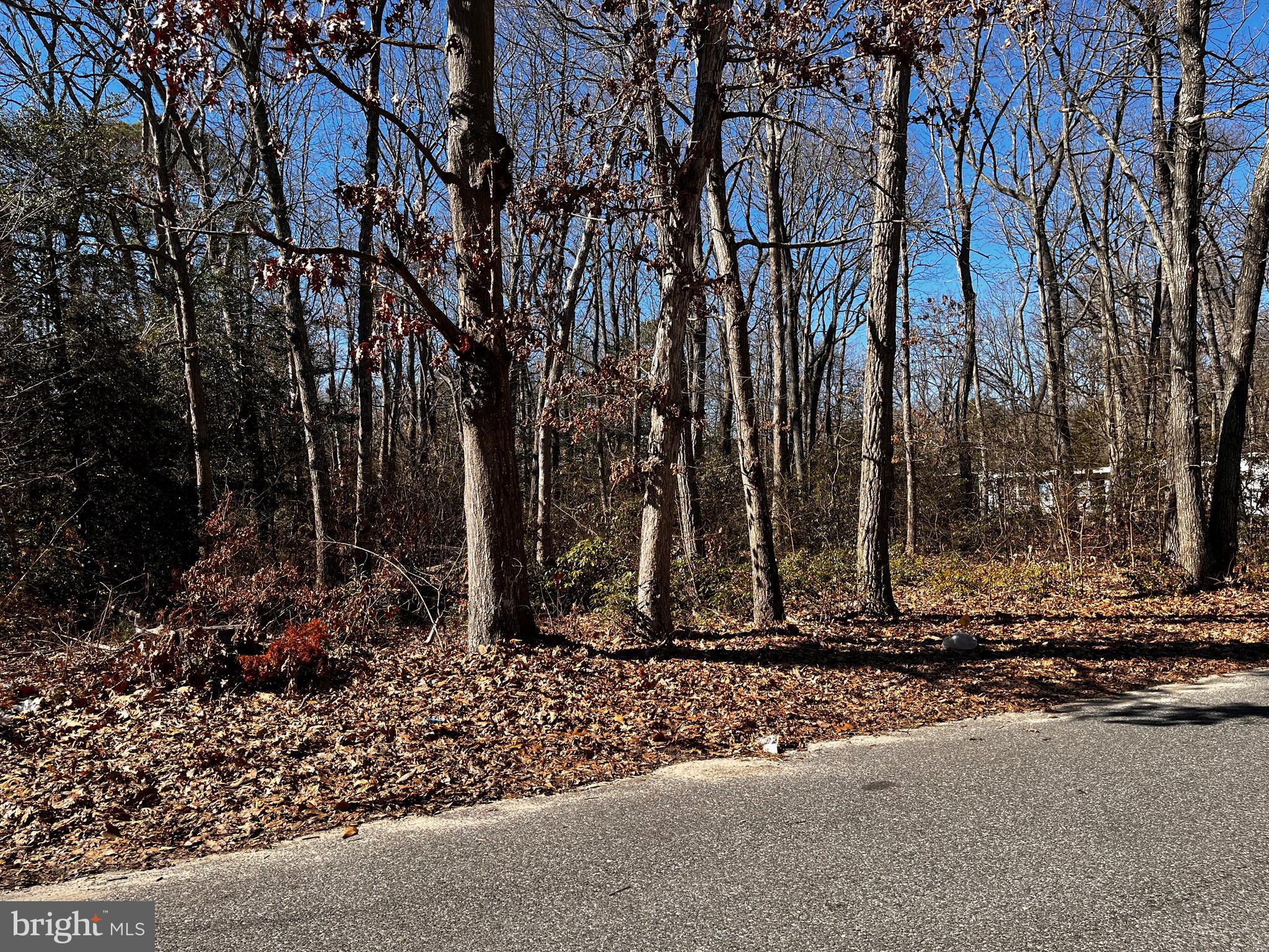 319 Quail Road Millville, NJ 08332 - Photo 2 of 3