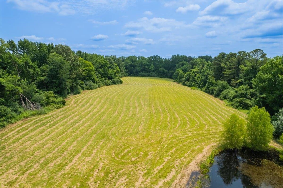 0 Bass Road Millington, TN 38053 - Photo 11 of 18
