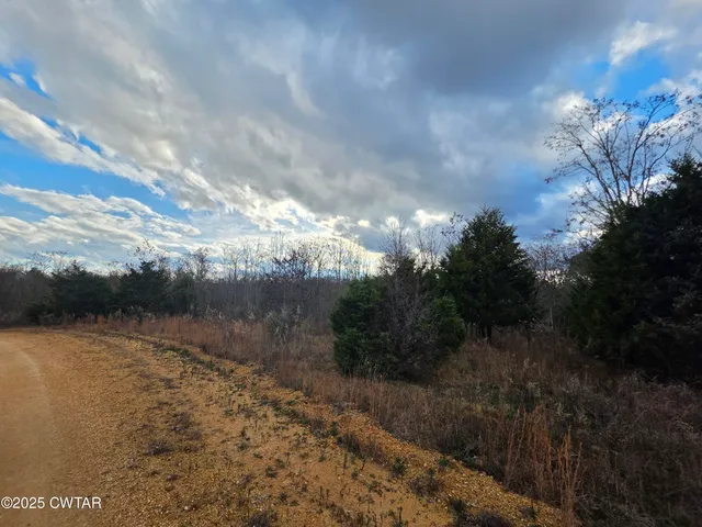 a view of a town with mountains in the background