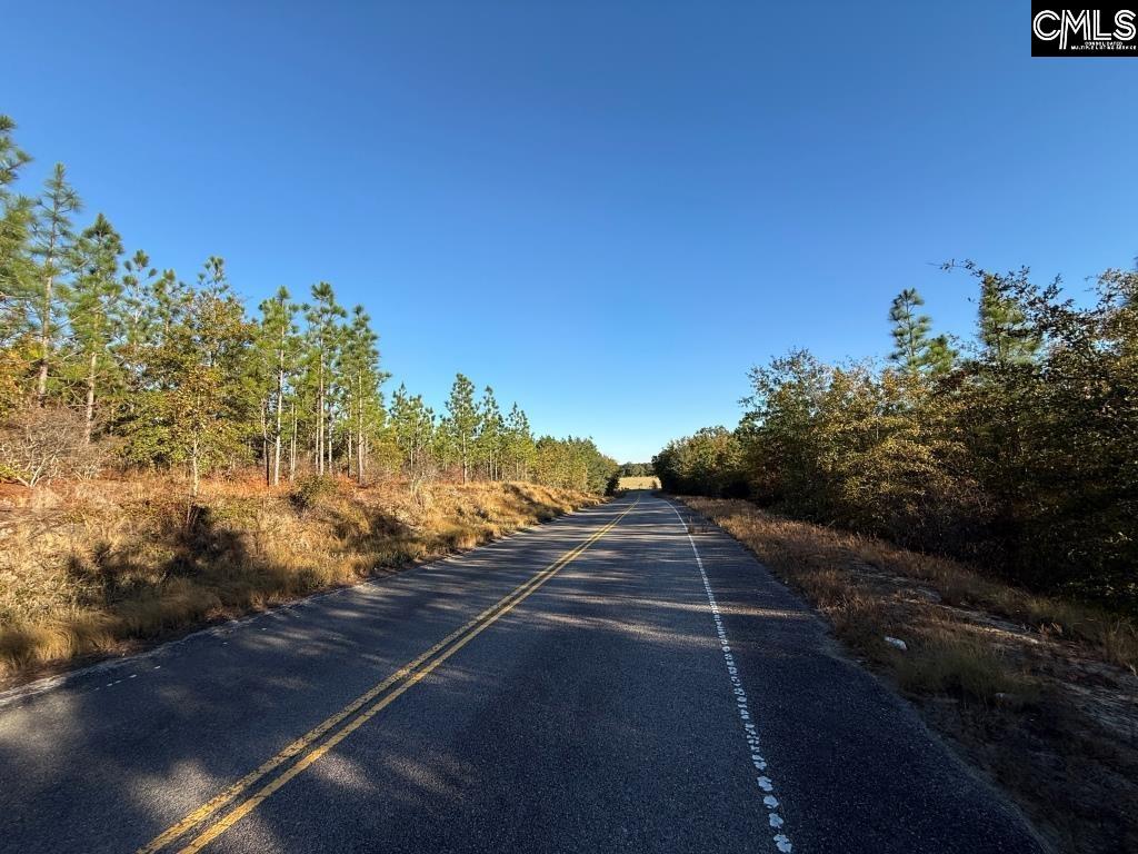 Fairview Road Leesville, SC 29070 - Photo 5 of 12