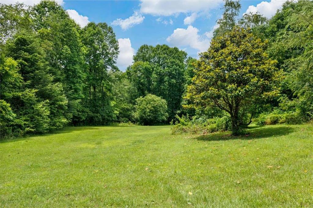 823 Forge Mill Road Mineral Bluff, GA 30559 - Photo 29 of 44