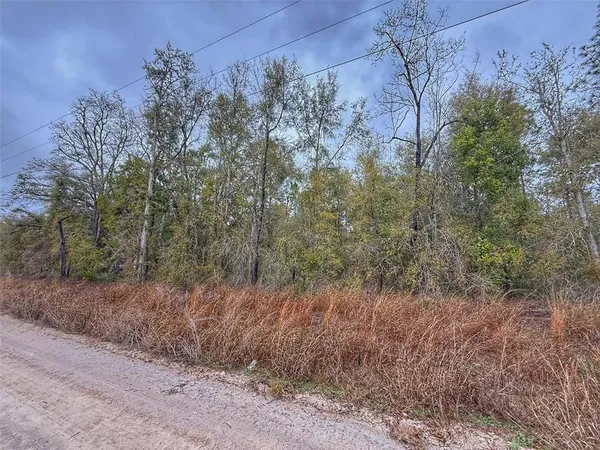 $24,000 | Tbd Northwest 60th Street Northwest, Bell, FL 32619