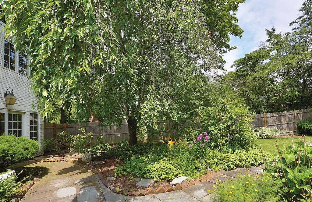 119 Walnut Hill Road Brookline, MA 02467 - Photo 10 of 12 a small yard with plants and large trees