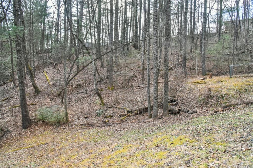 1114 Sharon Ridge Road Fairview, NC 28730 - Photo 24 of 26 Gallery Image 24