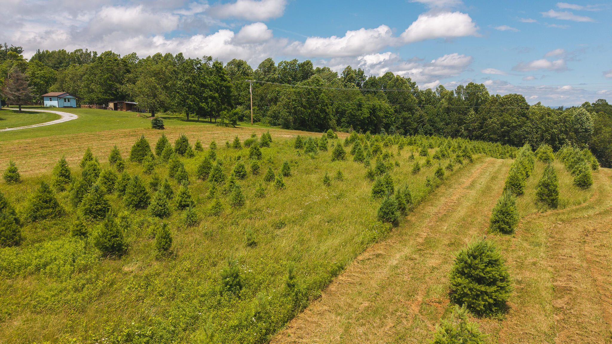 Tbd Alum Ridge Road Northwest Willis, VA 24380 - Photo 13 of 14 DJI_20250618143159_0477_D