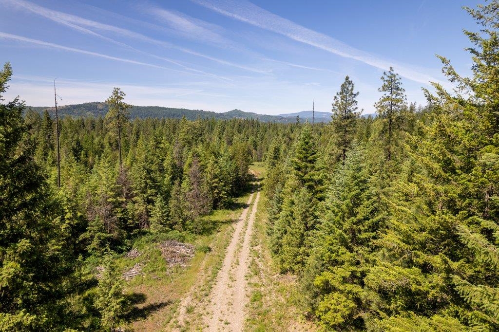 Lot 18 Misty Ridge Road Newport, WA 99156 - Photo 13 of 49 Gallery Image 13