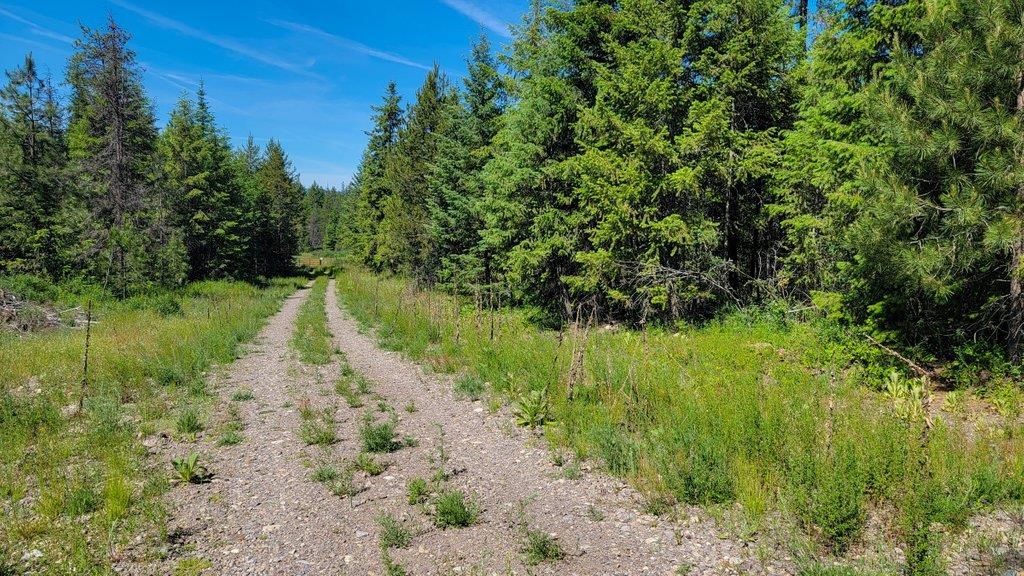 Lot 18 Misty Ridge Road Newport, WA 99156 - Photo 23 of 49 Gallery Image 23