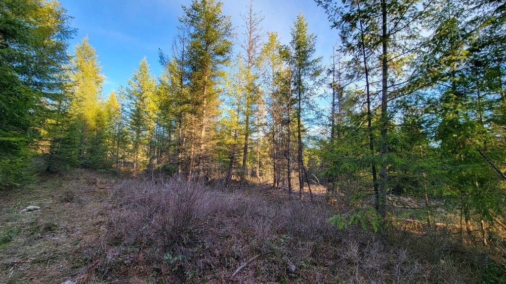 Lot 18 Misty Ridge Road Newport, WA 99156 - Photo 33 of 49 Gallery Image 33