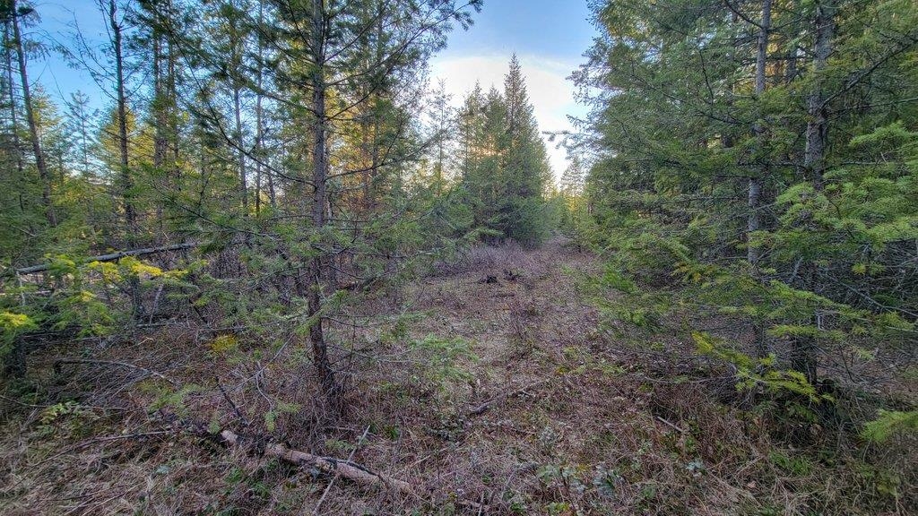Lot 18 Misty Ridge Road Newport, WA 99156 - Photo 34 of 49 Gallery Image 34