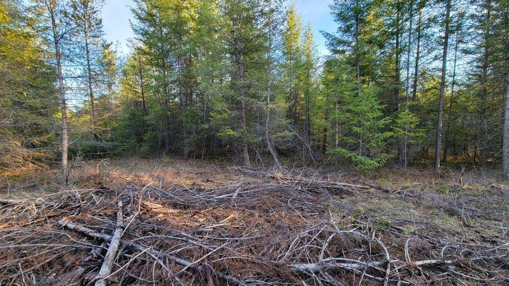 Lot 18 Misty Ridge Road Newport, WA 99156 - Photo 39 of 49 Gallery Image 39