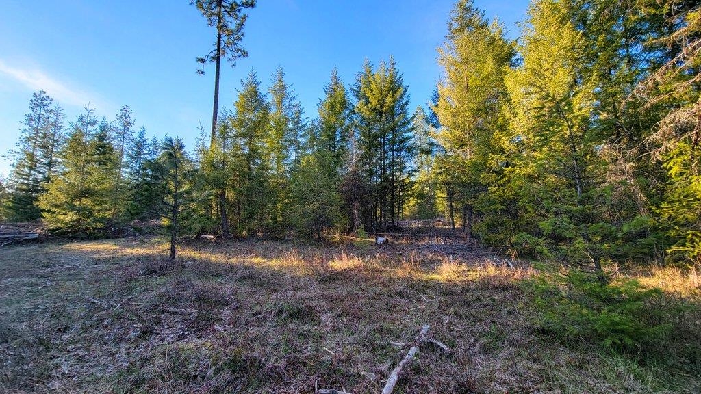 Lot 18 Misty Ridge Road Newport, WA 99156 - Photo 40 of 49 Gallery Image 40