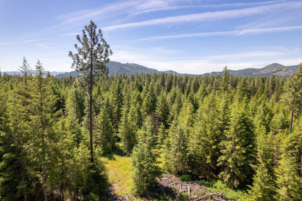 Lot 18 Misty Ridge Road Newport, WA 99156 - Photo 4 of 49 Gallery Image 4