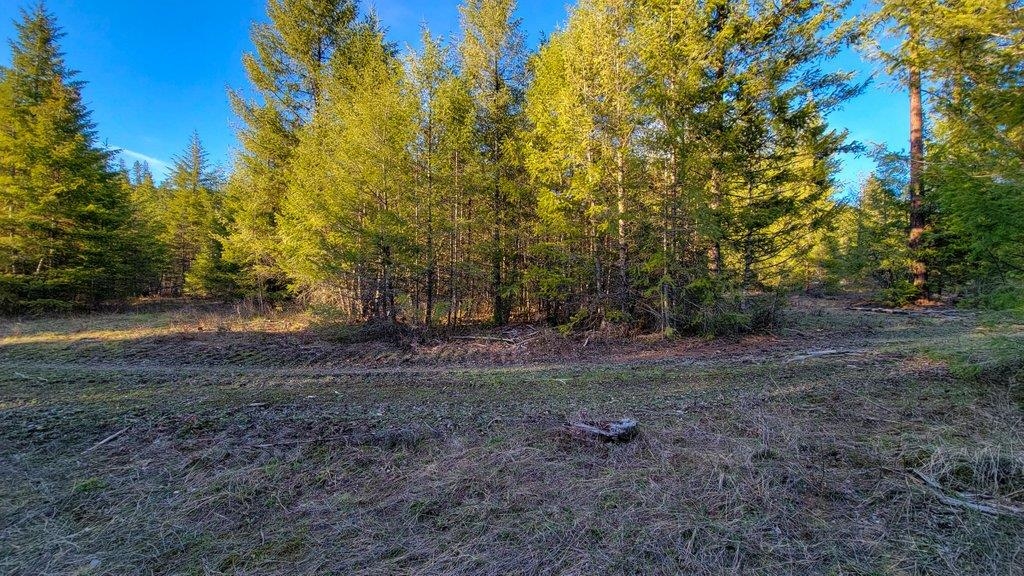Lot 18 Misty Ridge Road Newport, WA 99156 - Photo 42 of 49 Gallery Image 42