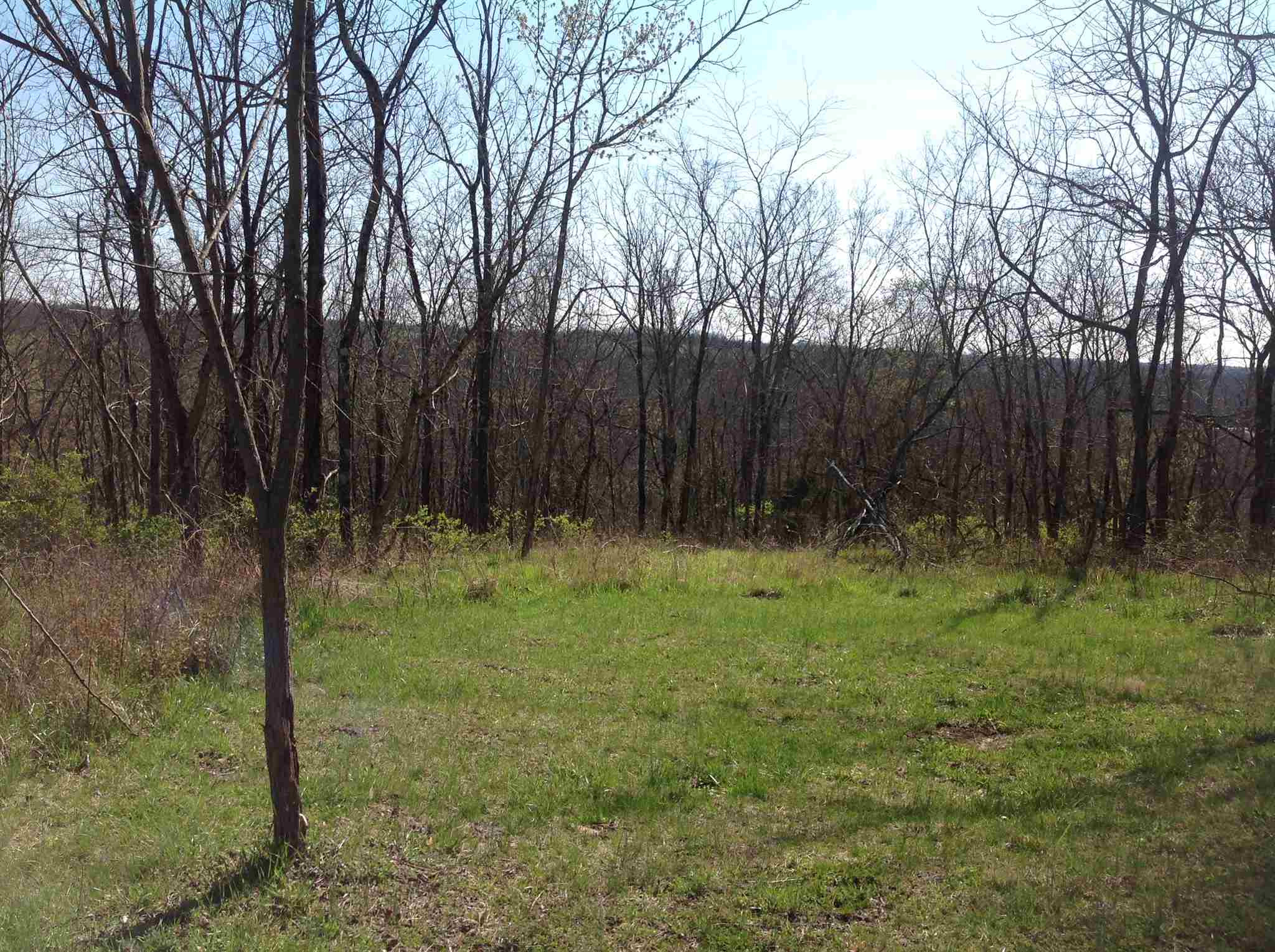 0 Johnsville-Foster Road Foster, KY 41043 - Photo 15 of 18 Gallery Image 15